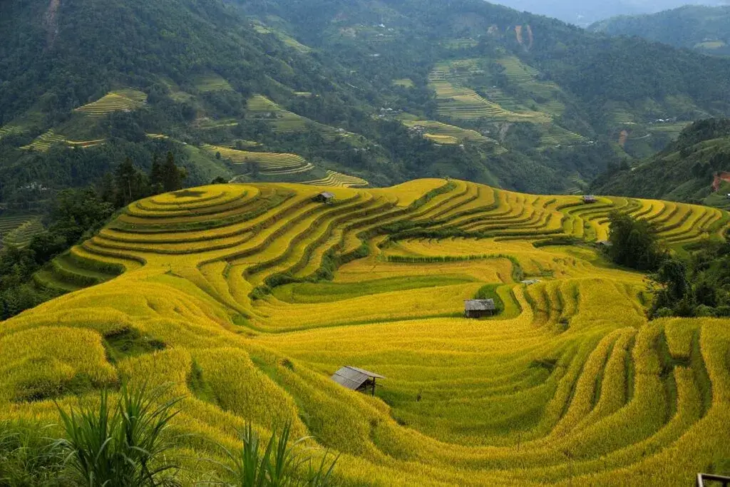 The Best Time to Do the Ha Giang Loop 