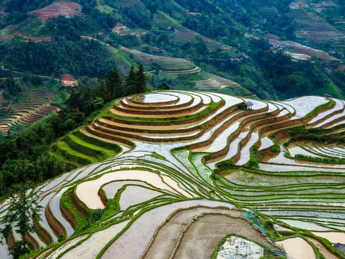 Hoang Su Phi terraced fields in pouring water season