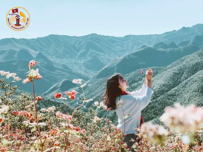 Tour hà Giang trọn gói