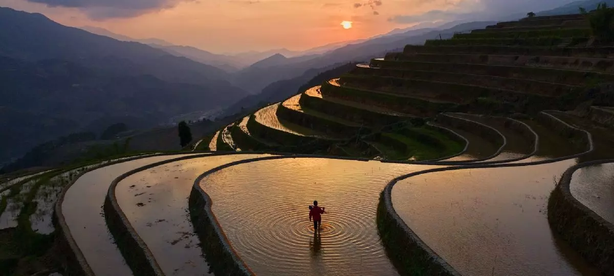Hà Giang mùa lúa chín
