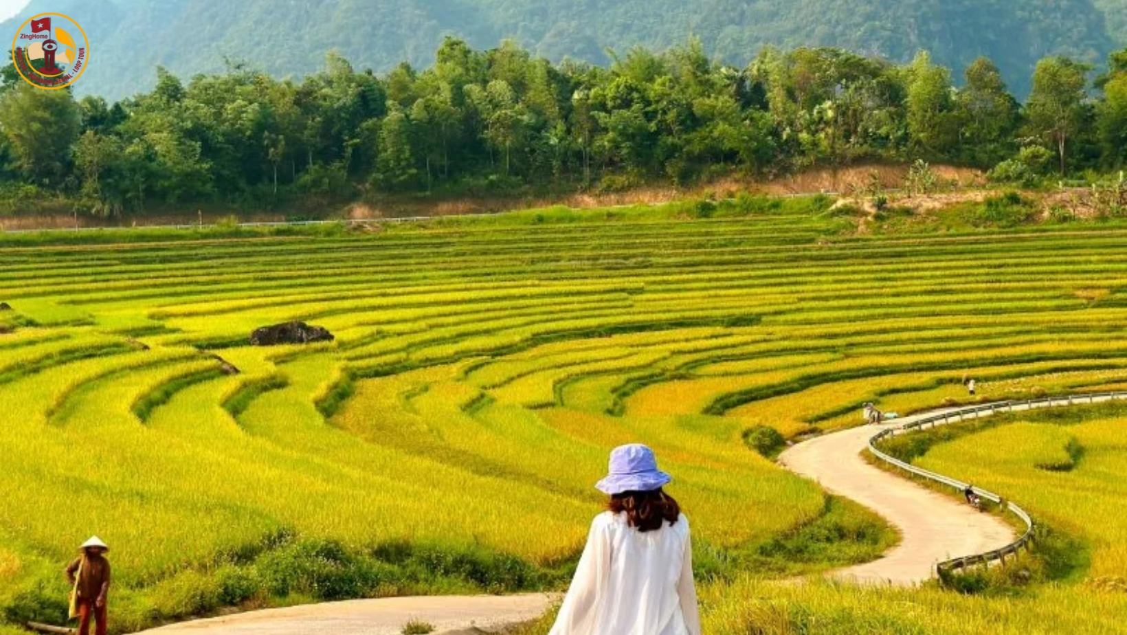 Du lịch Hà Giang mùa lúa chín