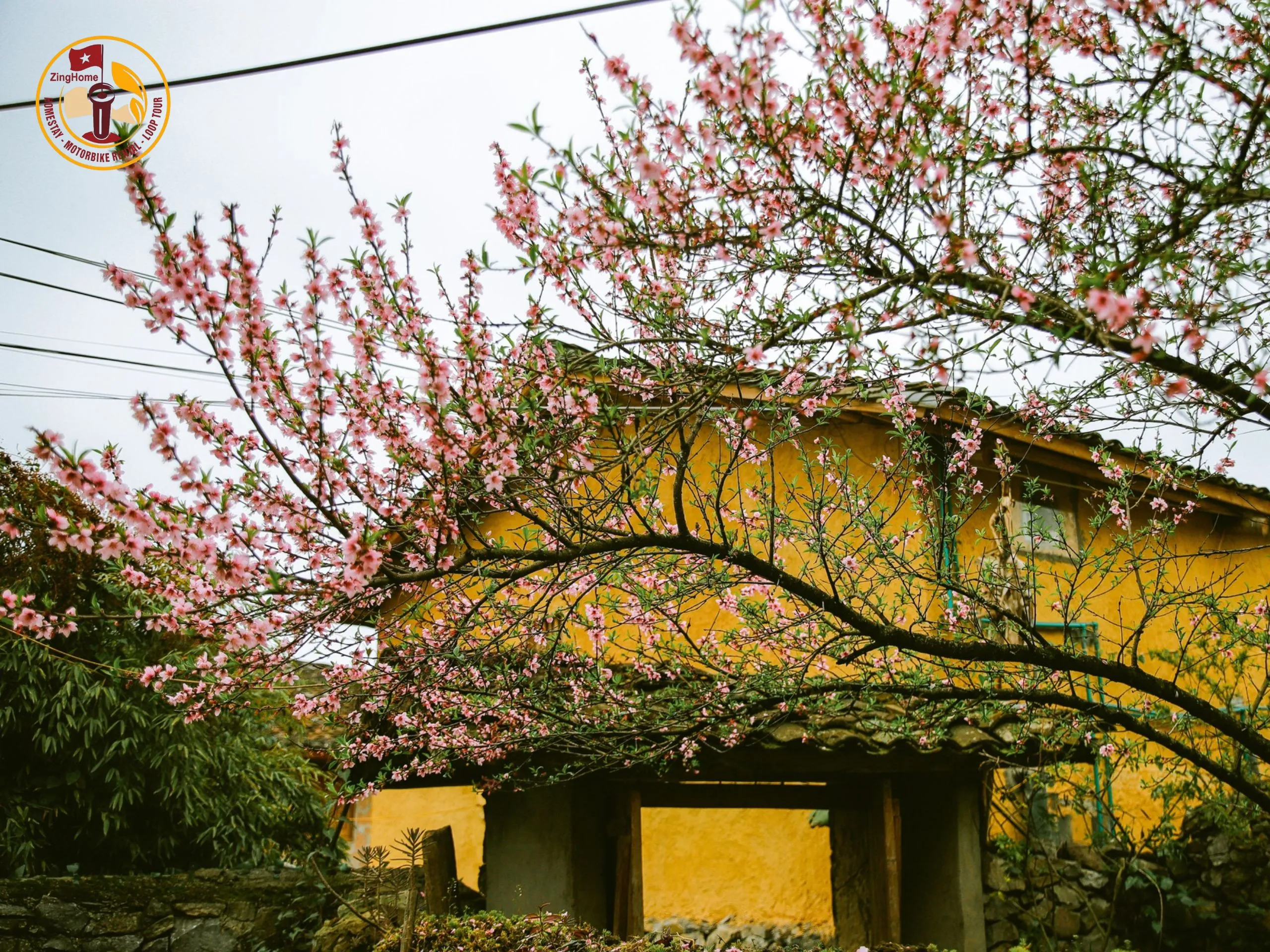 Làng văn hóa Lô Lô Chải