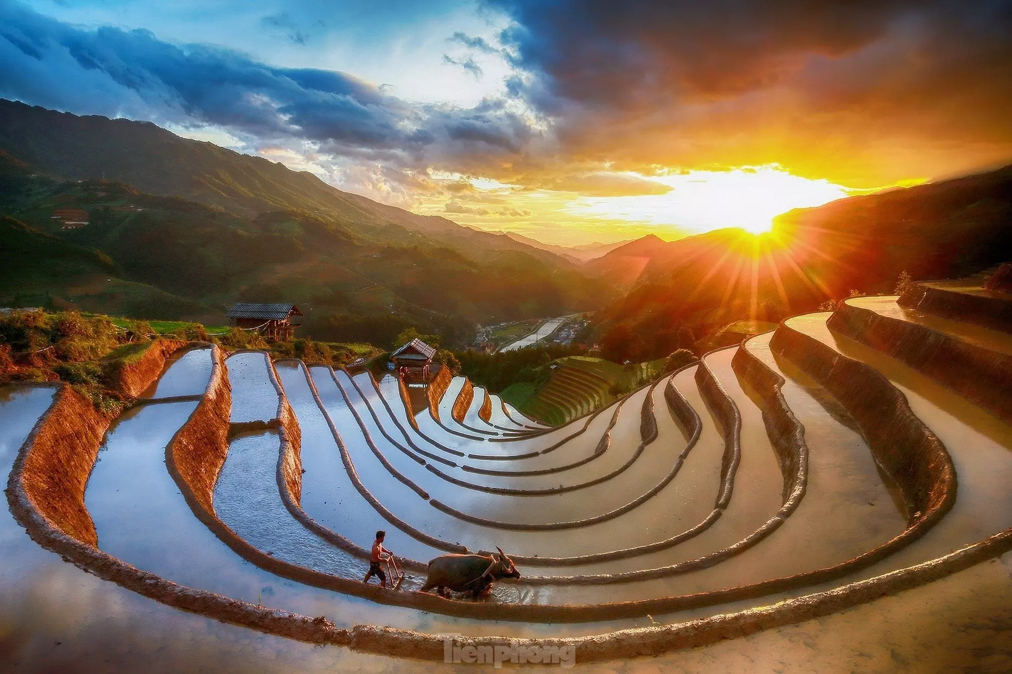 Mùa lúa chín Hà Giang