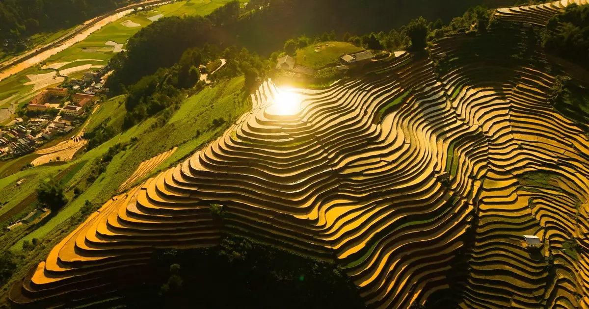 ruộng bậc thang Hà Giang Hoàng Su Phì
