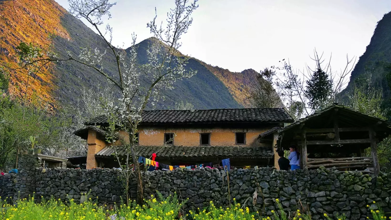 Khám phá Hà Giang qua các mùa hoa hoa nở