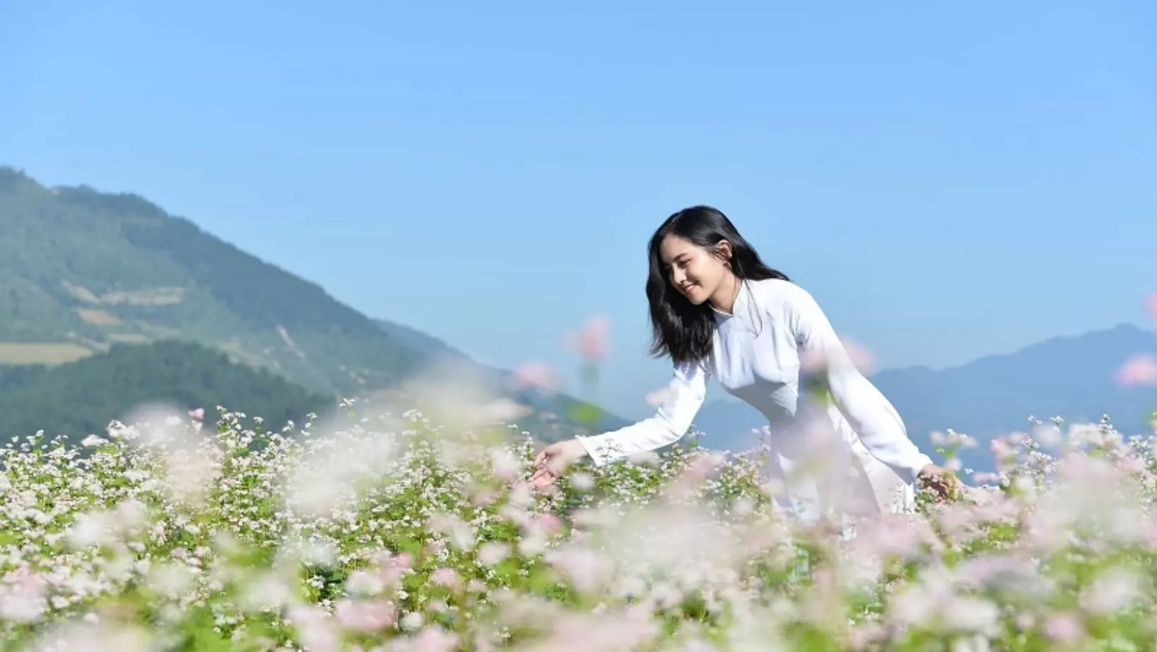 Tour Sapa Hà Giang mùa hoa tam giác mạch được nhiều du khách lựa chọn