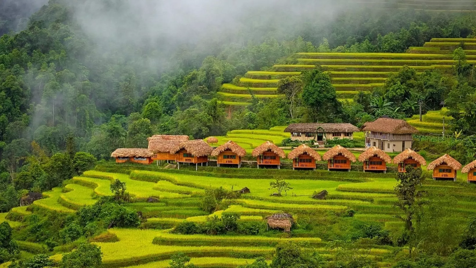 Tour Sapa Hà Giang mùa lúa chín
