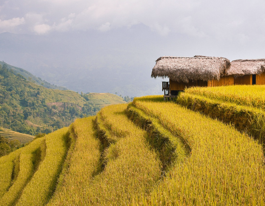 Ha giang loop 4 day tour