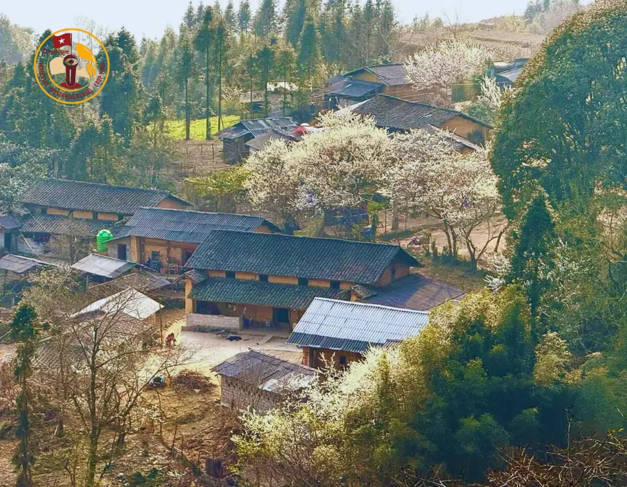 Bản làng vùng cao