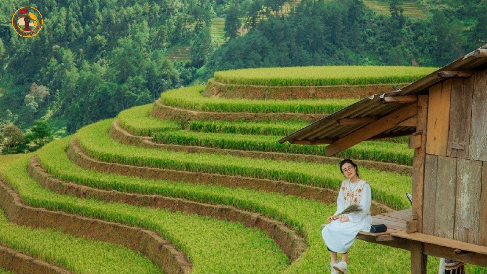 địa điểm nổi tiếng với những thửa ruộng bậc thang uốn lượn, kéo dài như dải lụa vàng trong ánh nắng