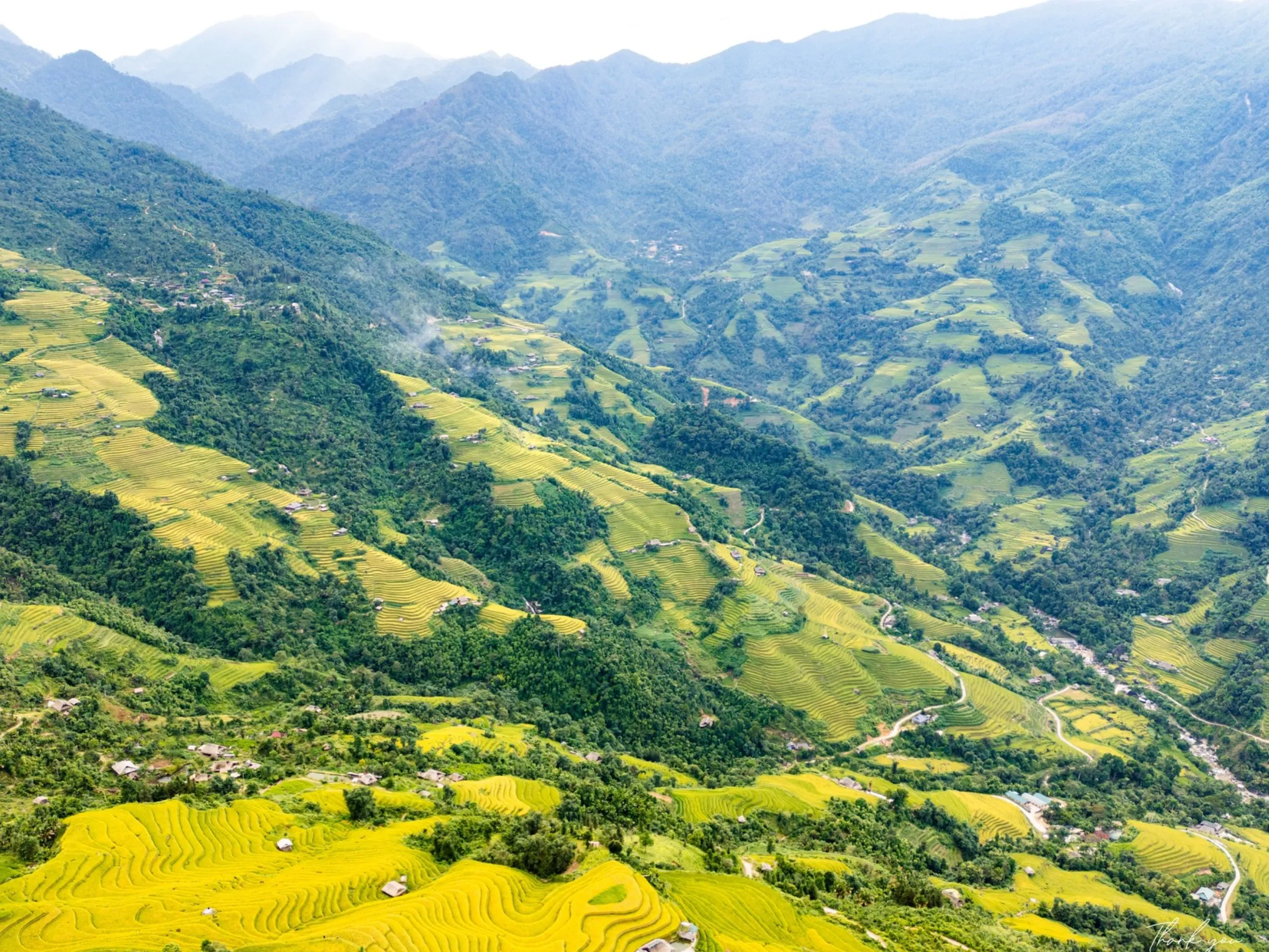 Ruộng bậc thang mùa lúa chín