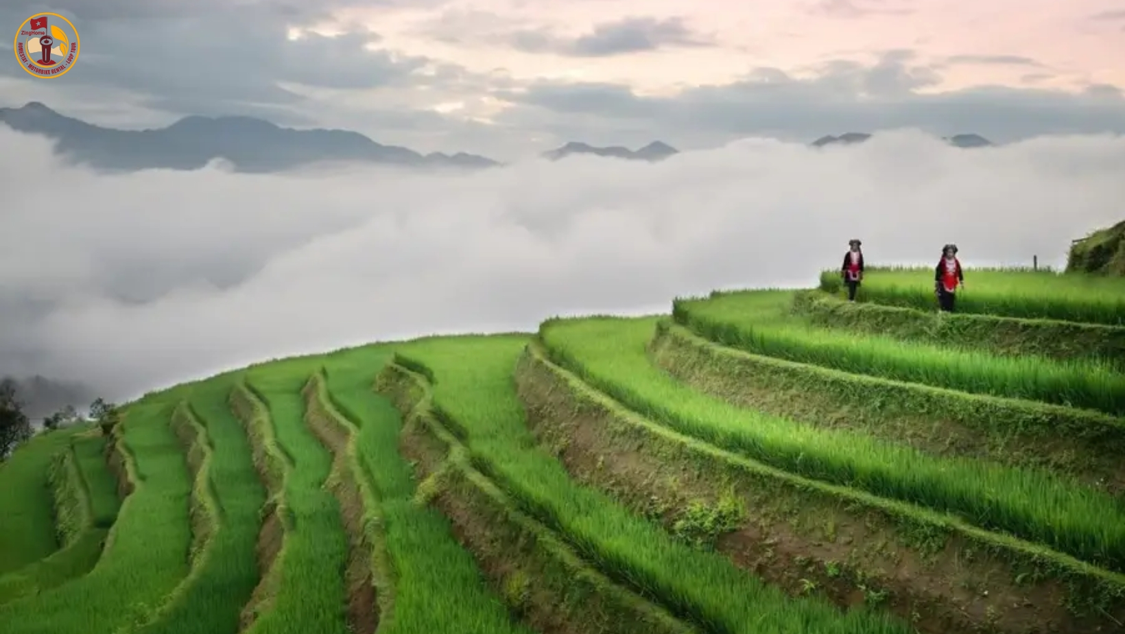 Thời tiết Hà Giang tháng 5 cỏ cây xanh tốt, ruộng lúa vào vụ đẹp mê hồn