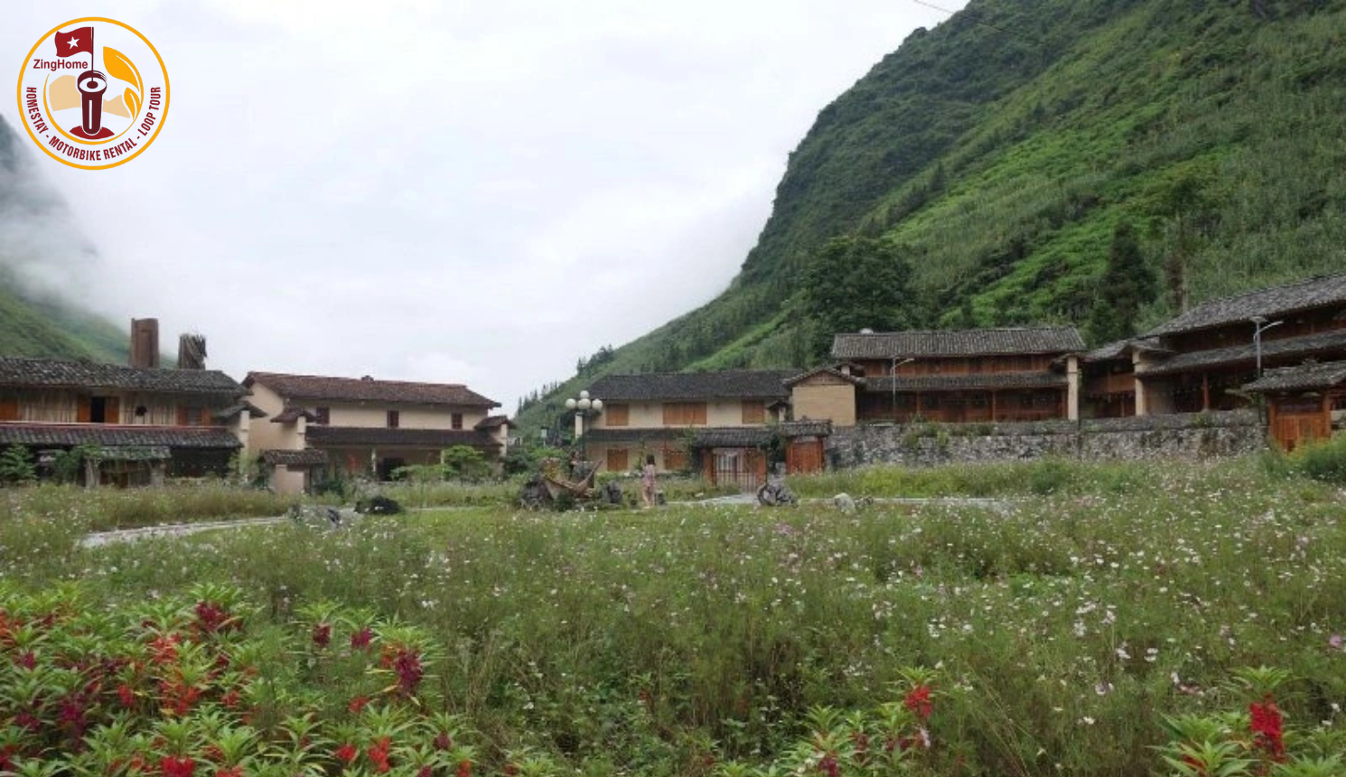 Cánh đồng hoa dại tươi tắn làm nổi bật sự thanh bình và vẻ đẹp hoang sơ của thung lũng