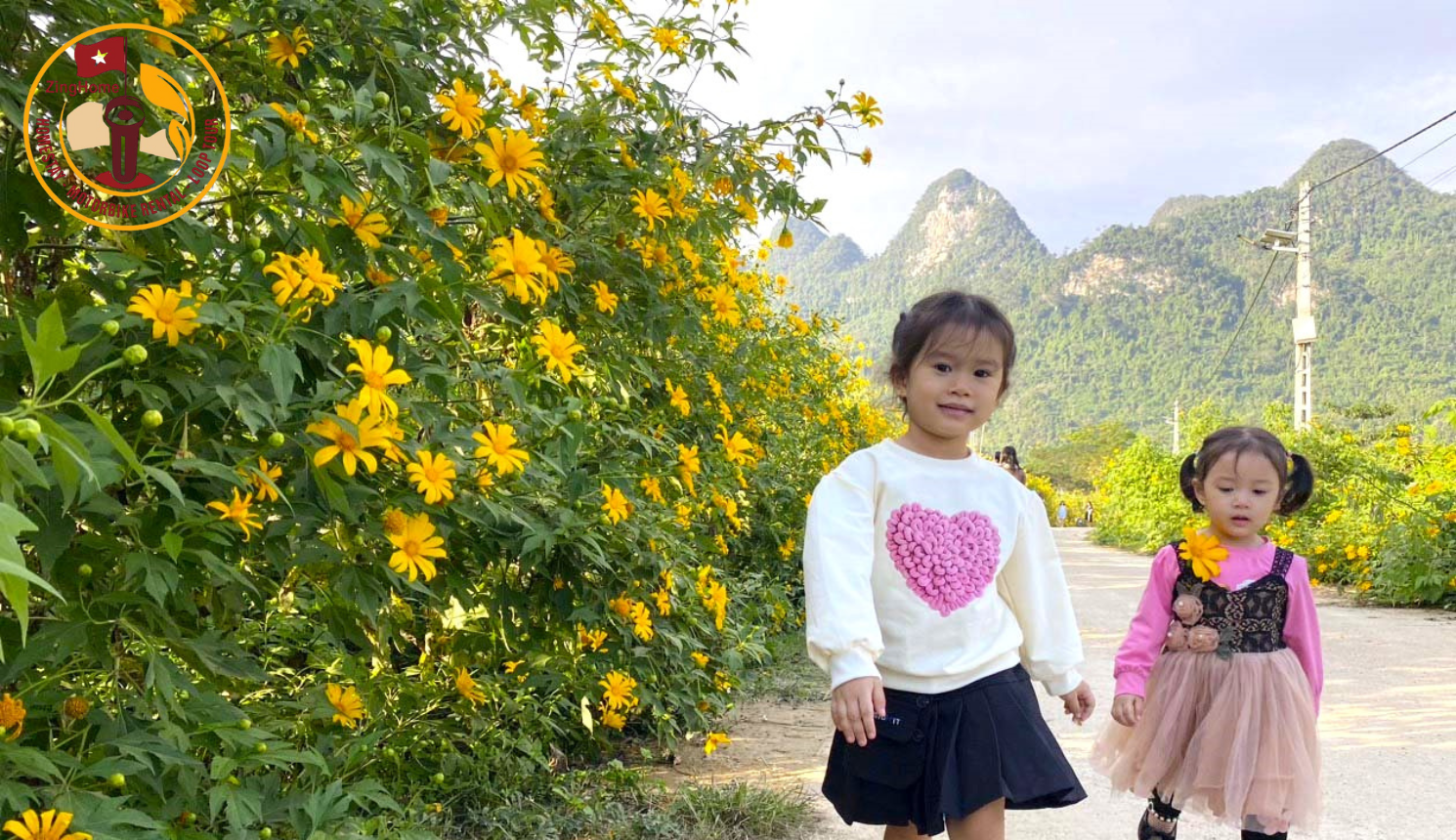 Chìm đắm trong sắc màu vàng của hoa dã quỳ Hà Giang