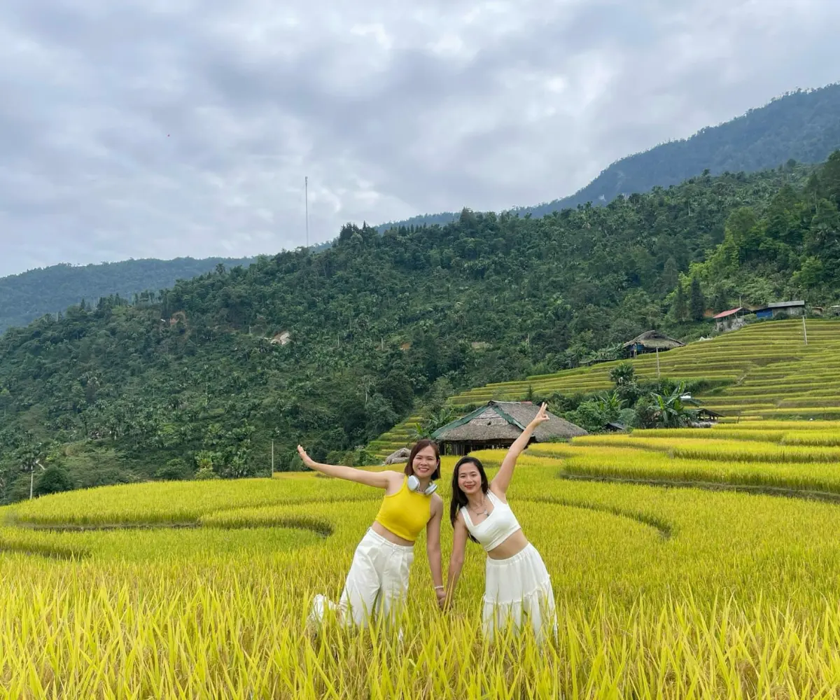 Du lịch Hoàng Su Phì mùa lúa chín