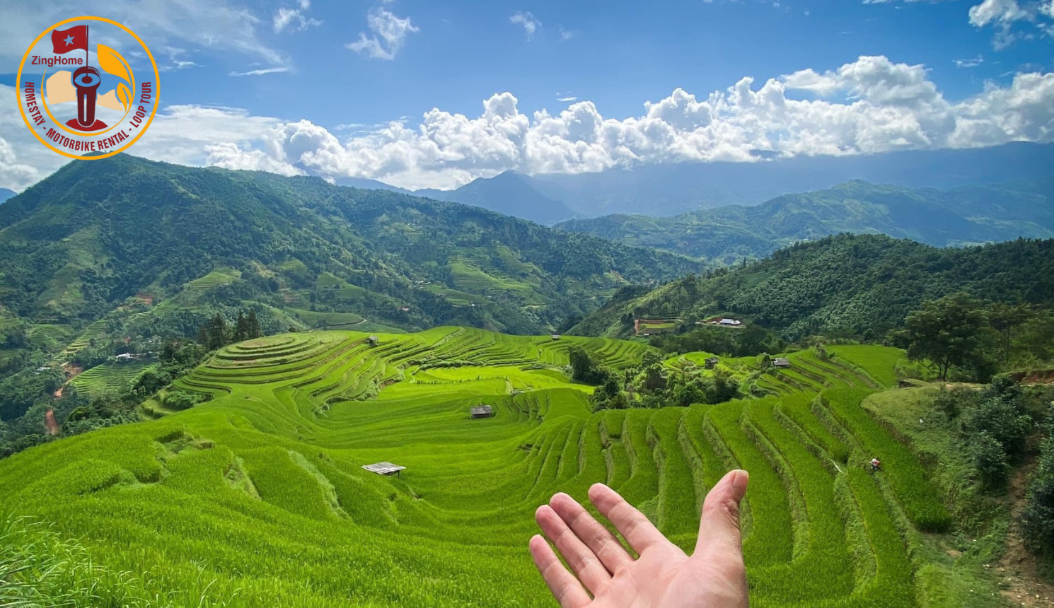 Hoàng Su Phì trong mắt kẻ lữ hành