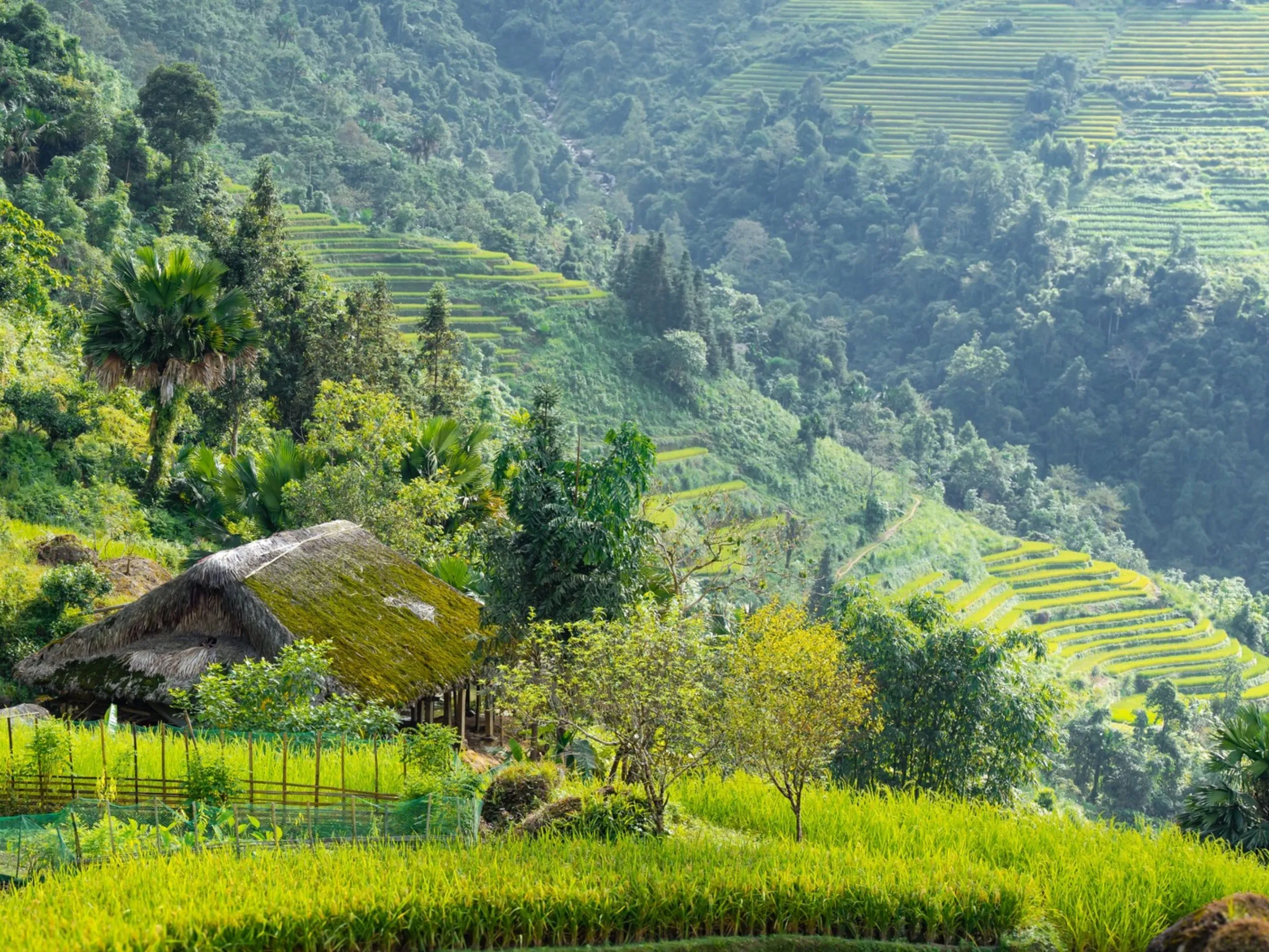 Kinh nghiệm chụp ảnh tại ruộng bậc thang Hoàng Su Phì