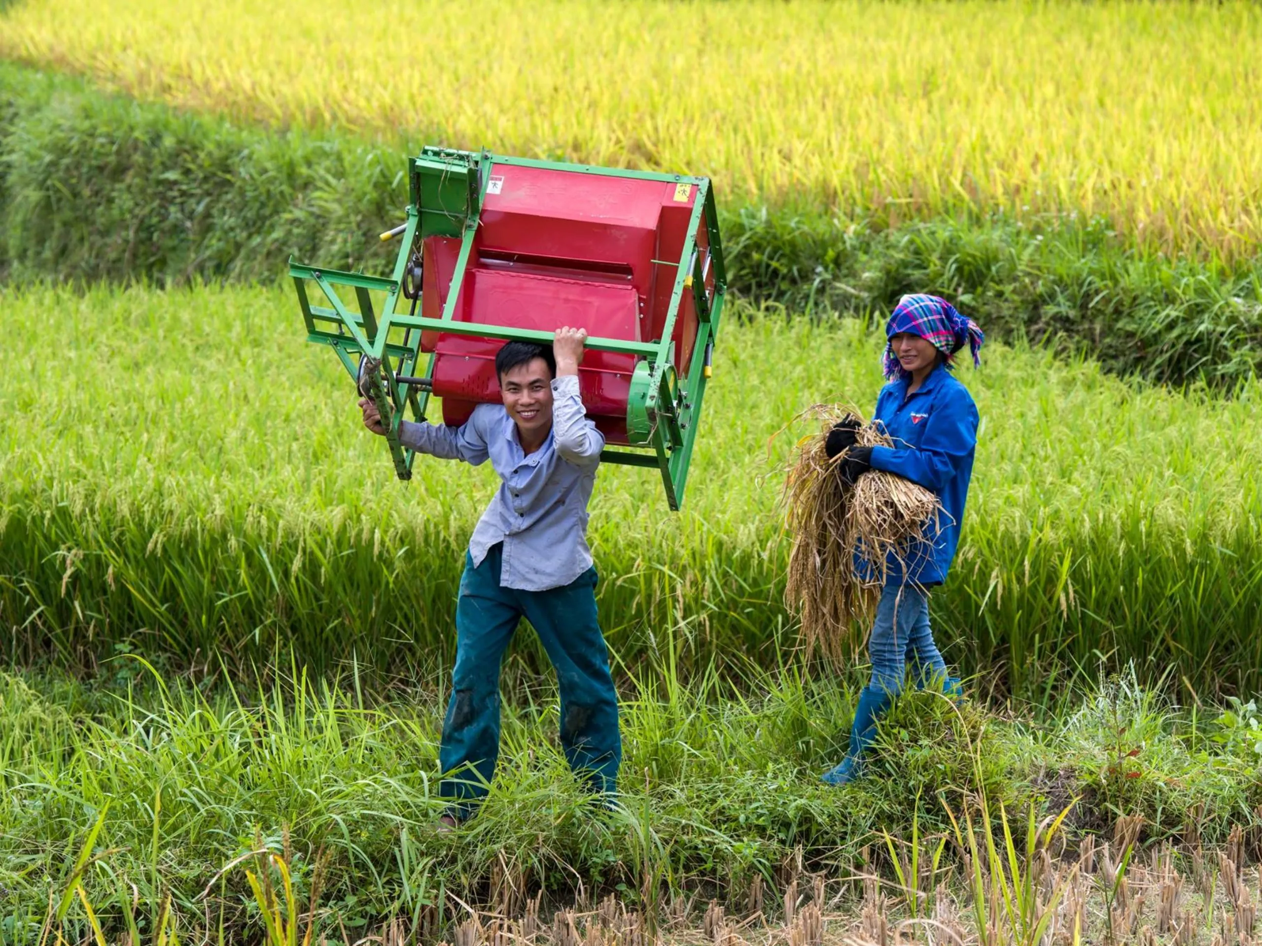 Kinh nghiệm du lịch Hoàng Su Phì cho thấy rằng đây là cơ hội quý giá để giao lưu văn hóa và có những trải nghiệm khó quên.