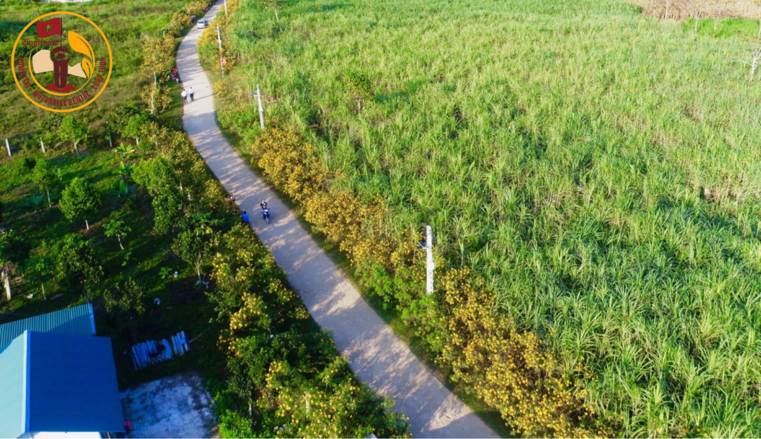 Lạc vào chốn thiên đường hoa dã quỳ Hà Giang
