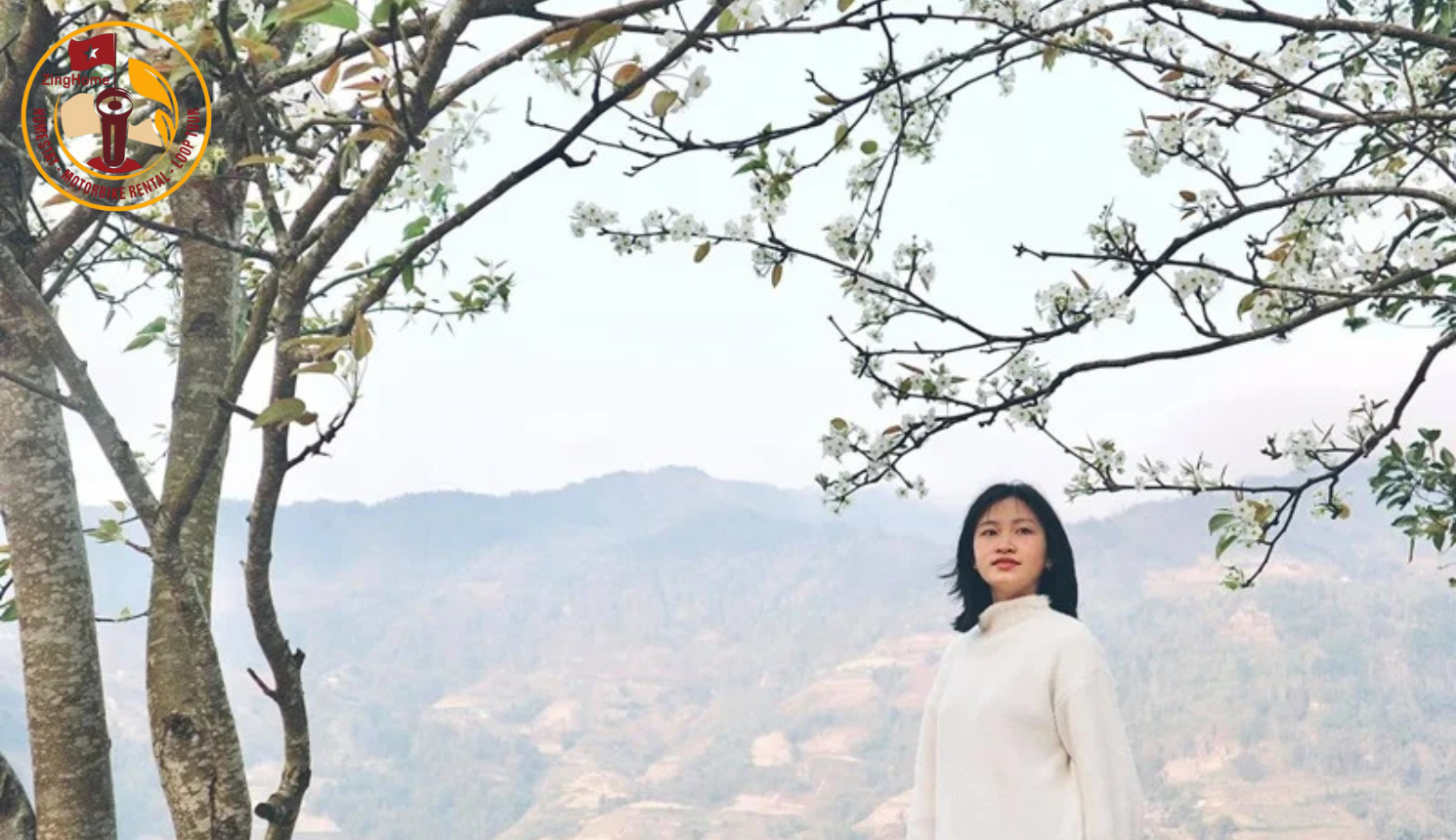 Mận trắng xinh đẹp, khoe sắc trong cái lạnh núi rừng