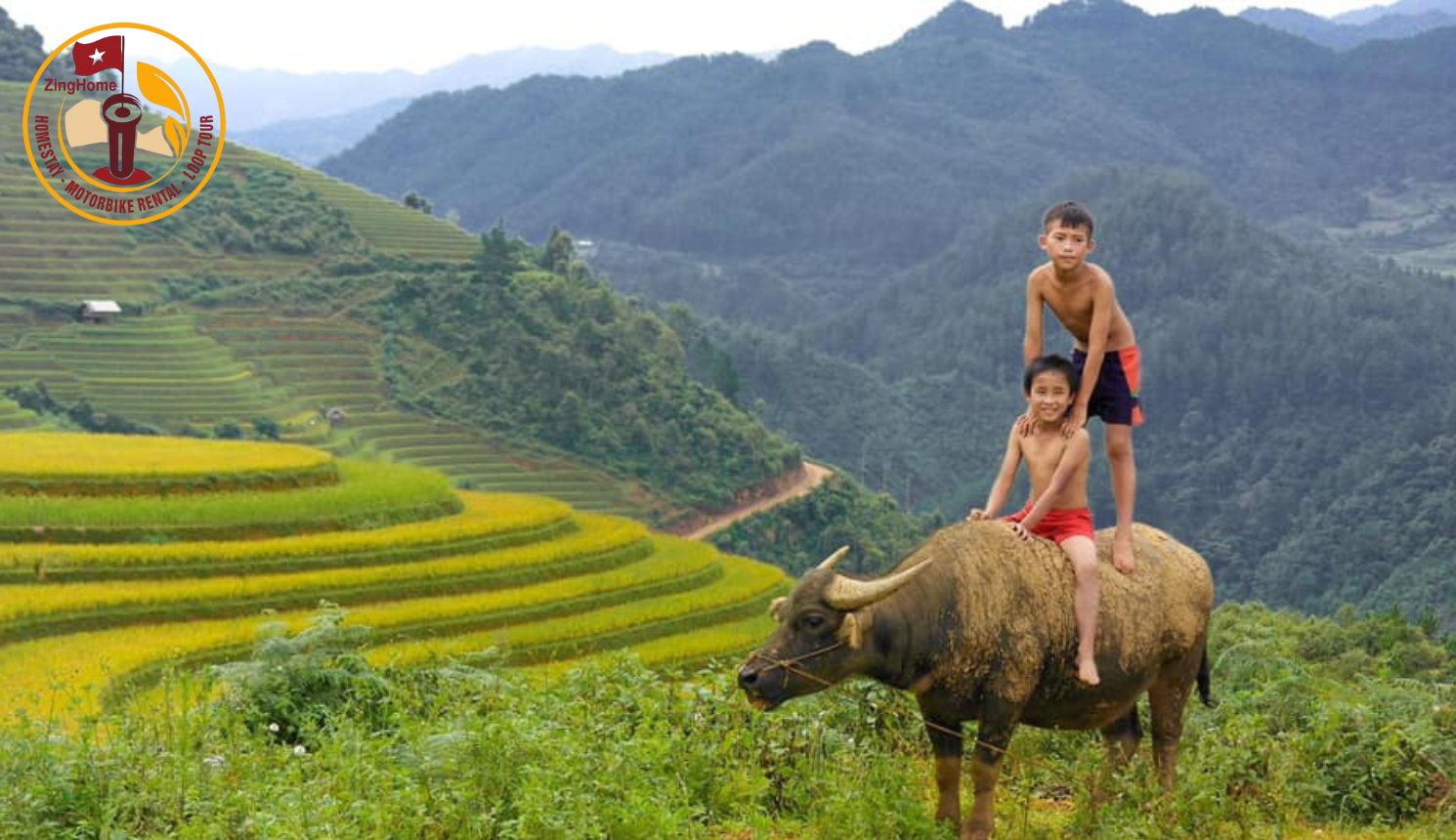 Nụ cười mùa gặt trên cao nguyên Hà Giang