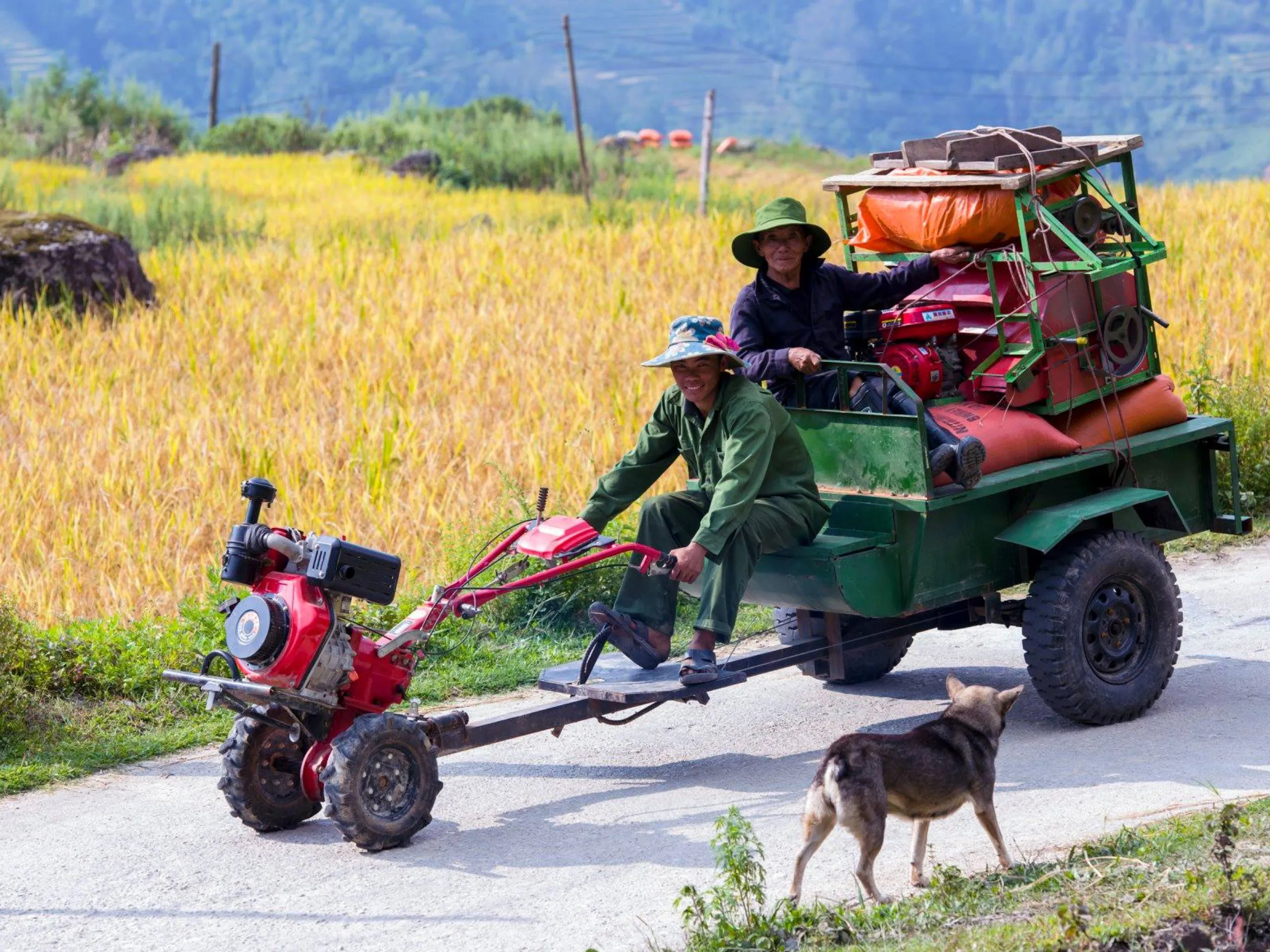Ruộng bậc thang Hoàng Su Phì