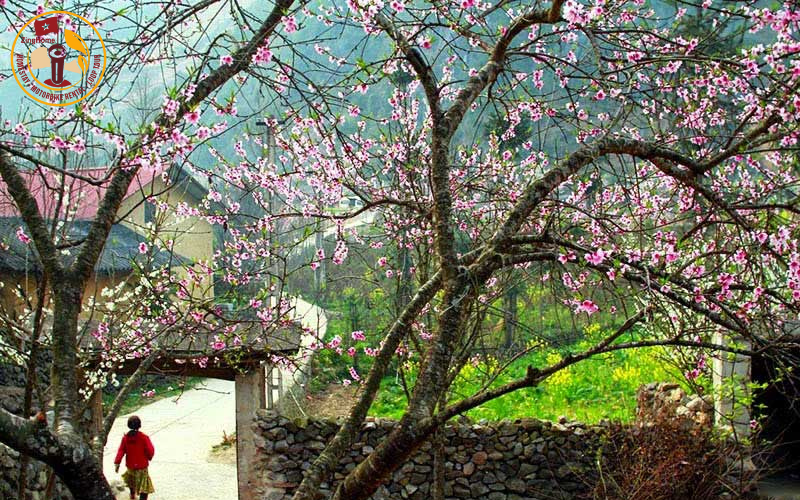 Sắc màu mùa đông ở thị trấn Phó Bảng