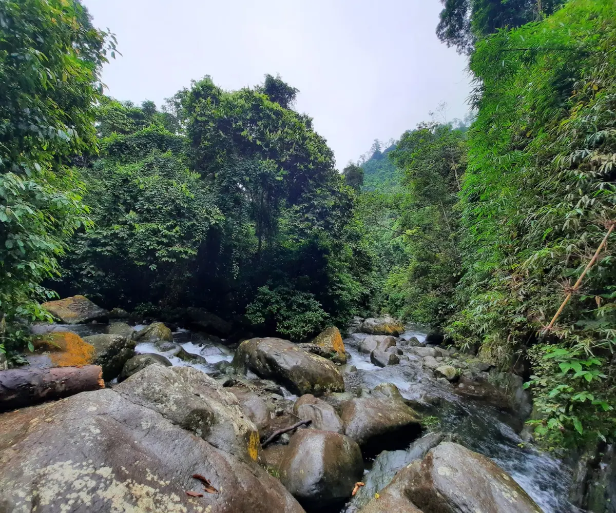 Thác nước Hà Giang, dòng nước trắng xóa đổ từ cao xuống