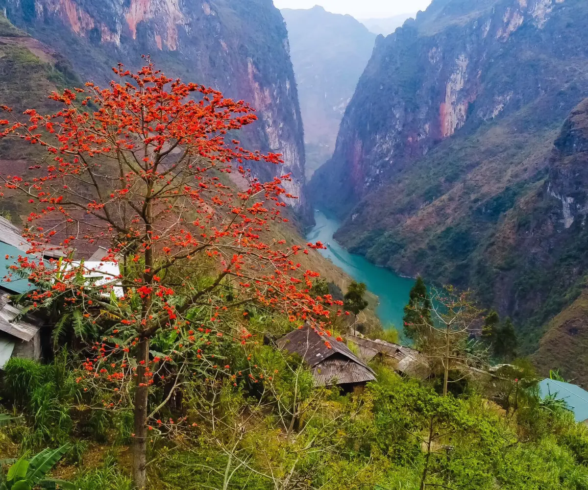 Best Time of Year to Do Ha Giang Loop