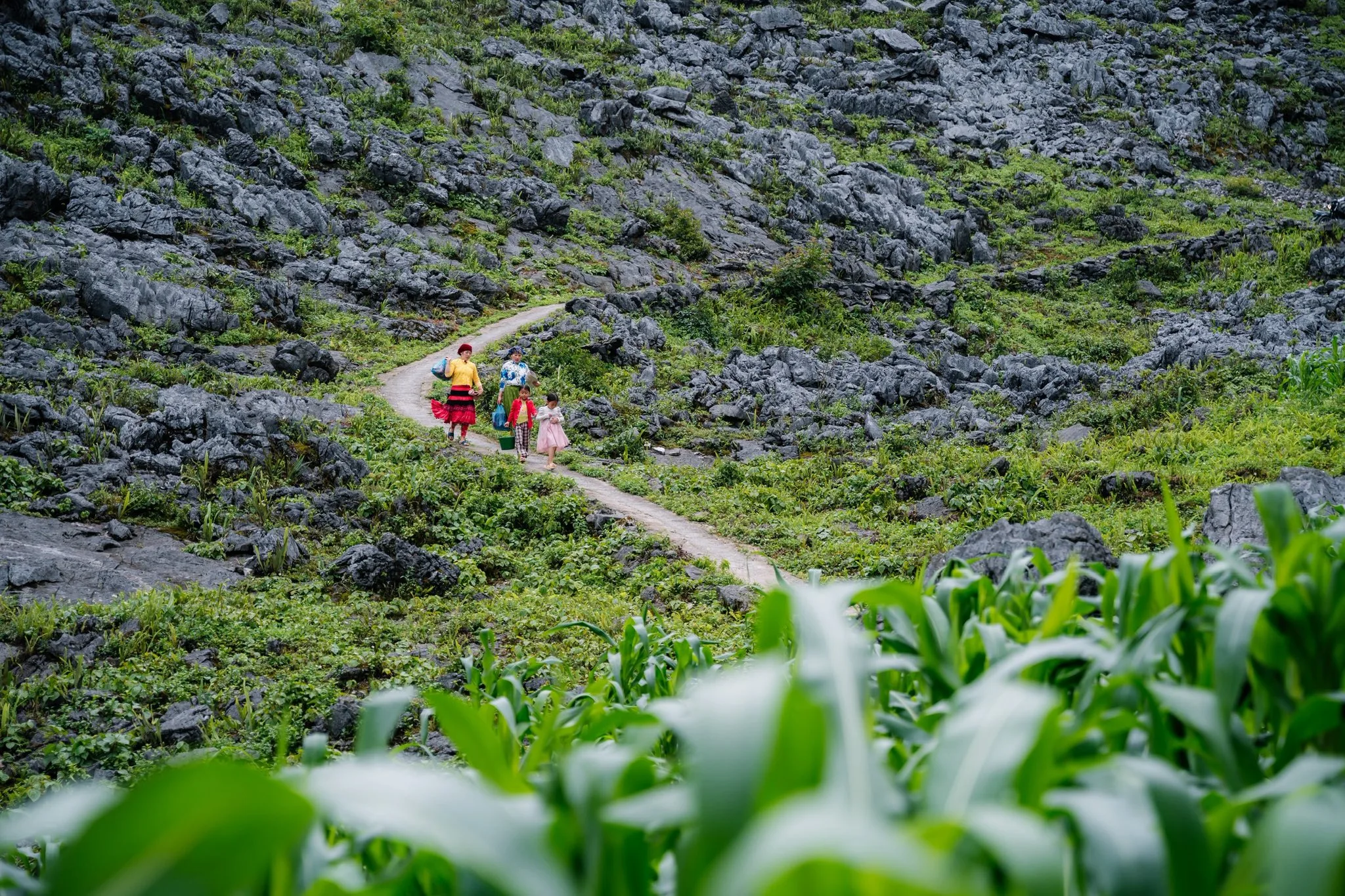 November is also a festive month in Ha Giang in November, with celebrations such as the Hmong New Year bringing villages to life