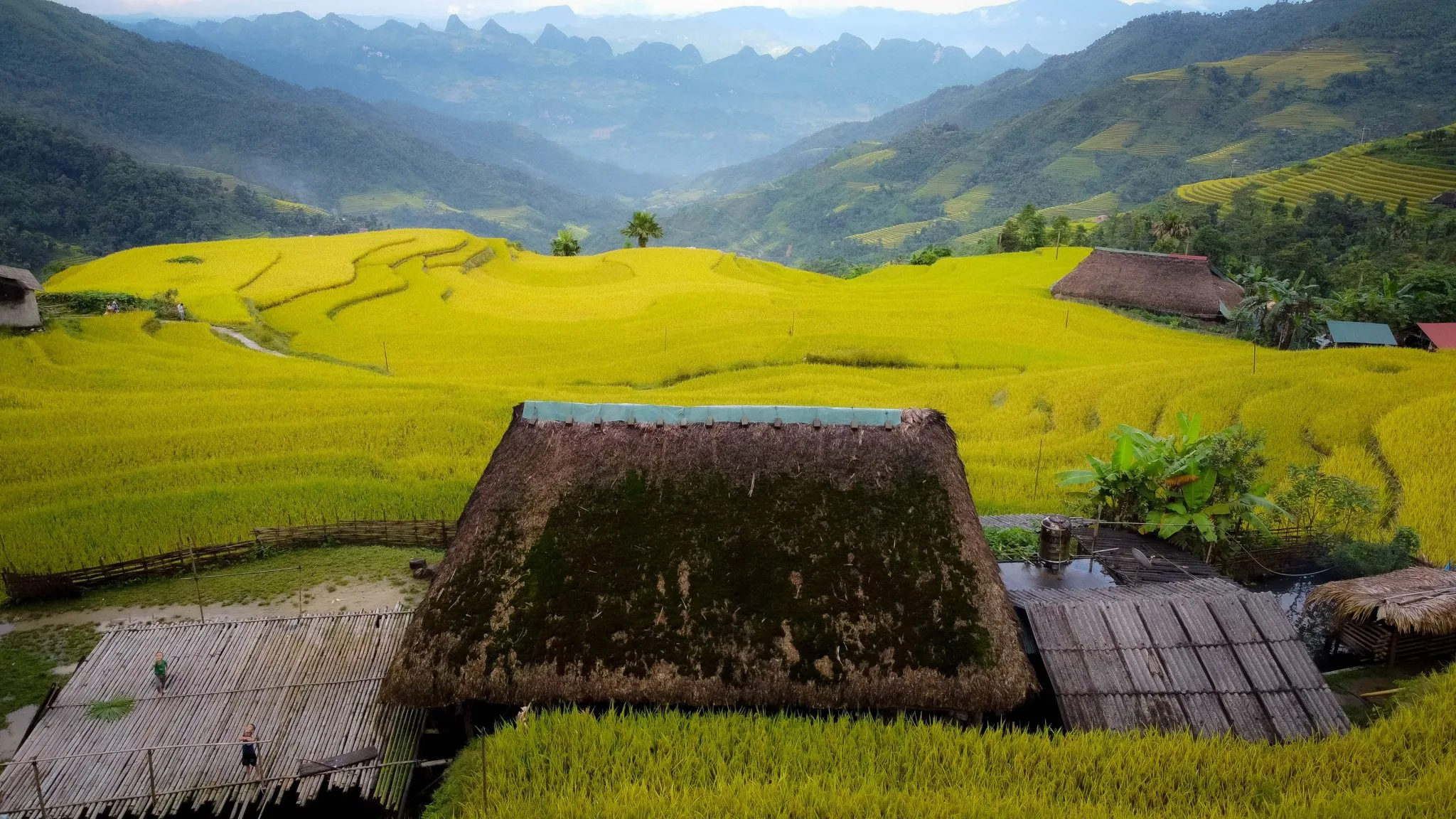November often marks the end of the rice harvest, when the terraces glow in vibrant shades of gold