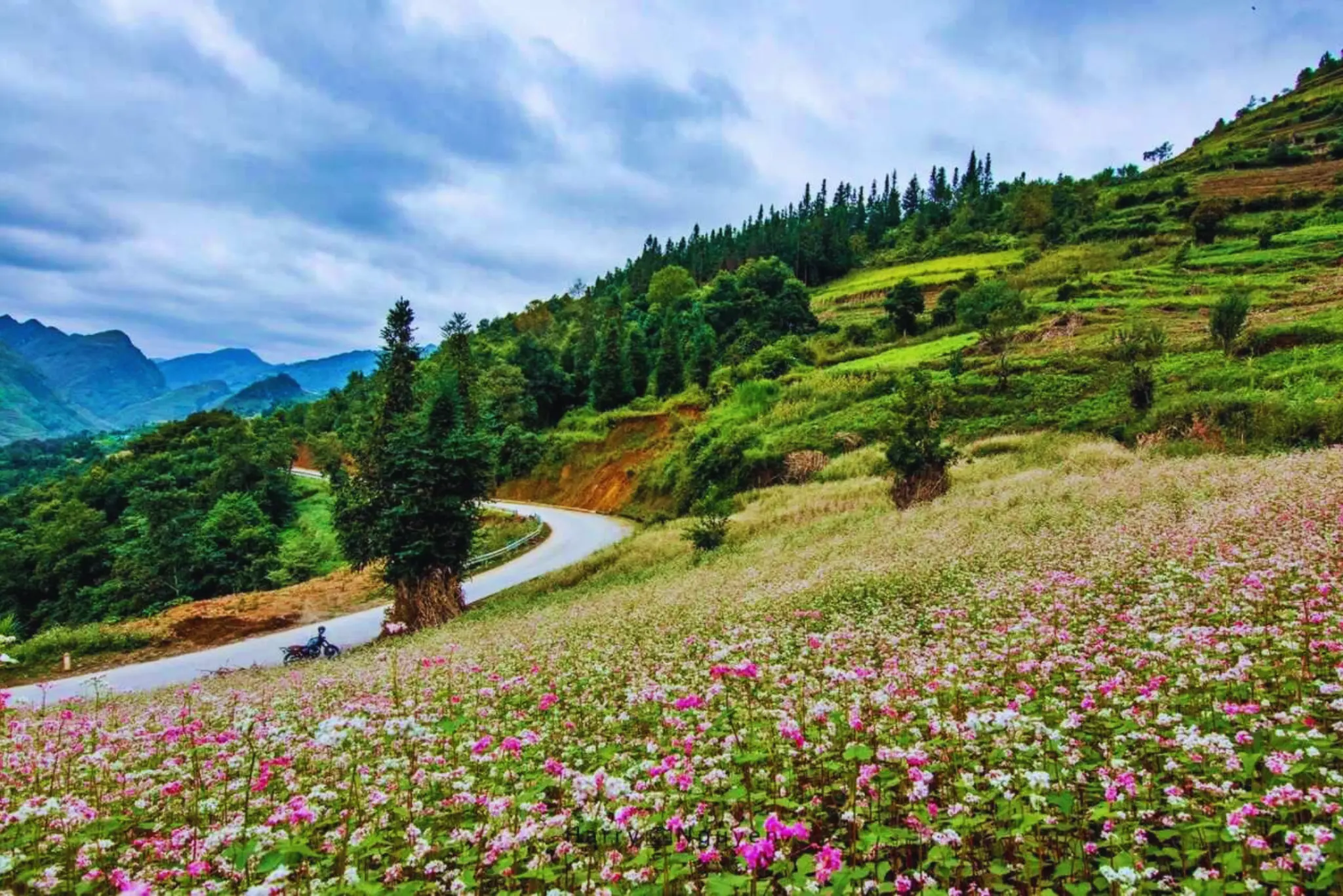 Ha Giang landscape Ha Giang Tour 3 days