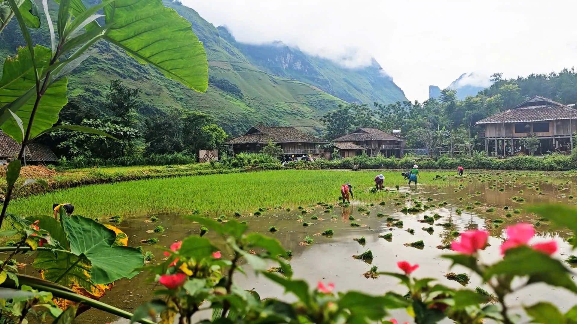 Hà Giang tháng 10 không chỉ nổi tiếng với mùa hoa tam giác mạch rực rỡ mà còn hấp dẫn bởi những điểm đến nguyên sơ như Du Già
