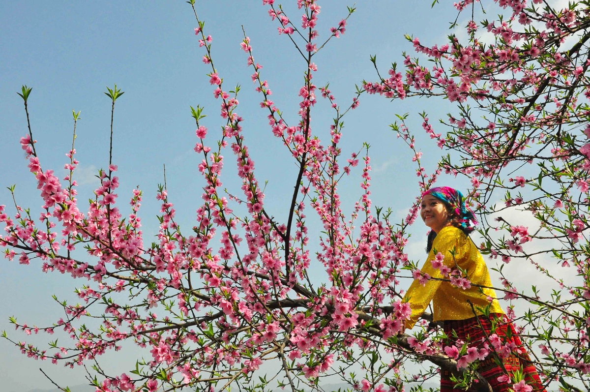Thời điểm lý tưởng để tham quan Phó Bảng