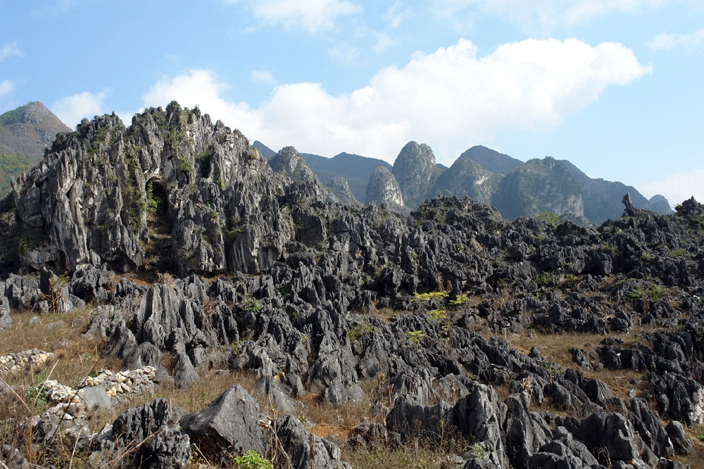 A major highlight when you travel to Ha Giang Vietnam is exploring the Dong Van Karst Plateau Geopark