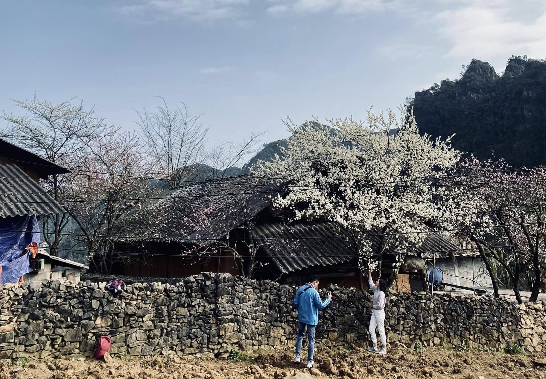 Winter in Ha Giang.jpg