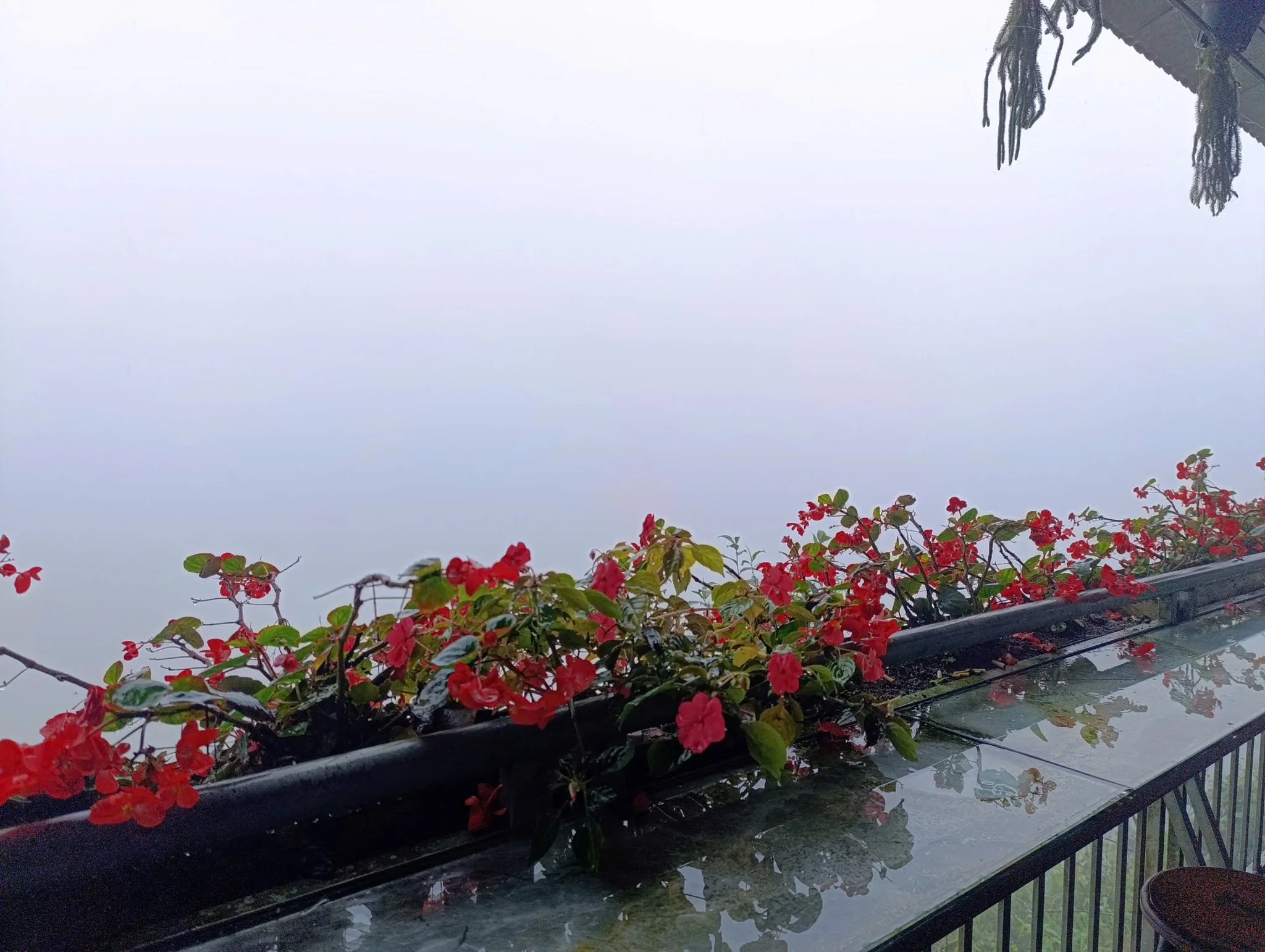 Hà Giang tháng 12 đặc trưng bởi thời tiết se lạnh, với nhiệt độ thường dao động từ 8°C đến 15°C